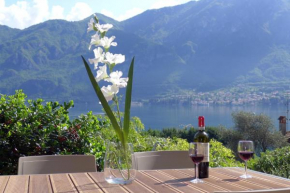 Bellagio Lake View Villa Oliveto Lario